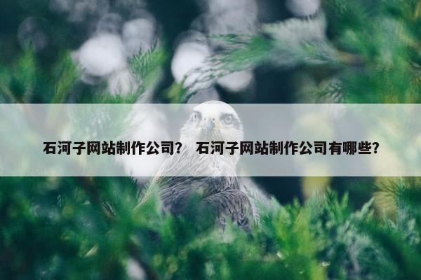 石河子网站制作公司？ 石河子网站制作公司有哪些？