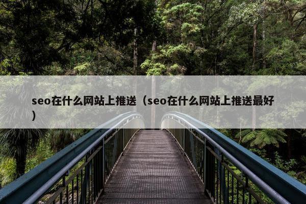seo在什么网站上推送（seo在什么网站上推送最好）