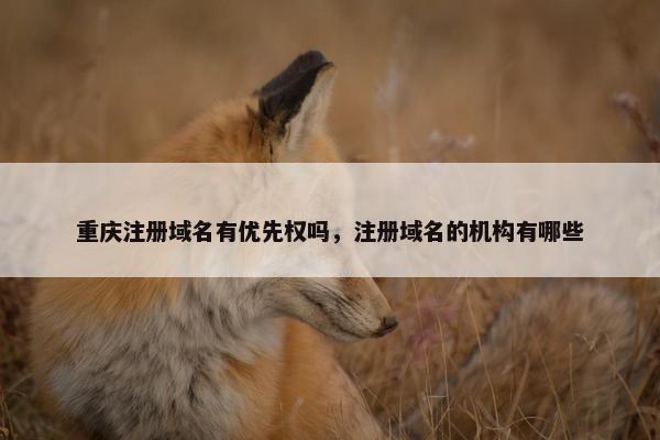 重庆注册域名有优先权吗，注册域名的机构有哪些