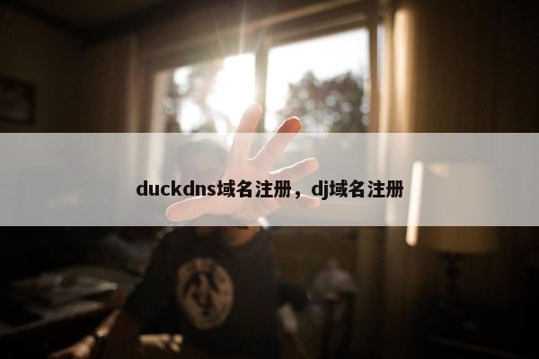 duckdns域名注册，dj域名注册