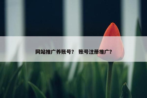 网站推广养账号？ 账号注册推广？
