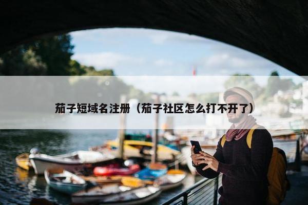 茄子短域名注册（茄子社区怎么打不开了）