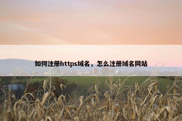 如何注册https域名，怎么注册域名网站
