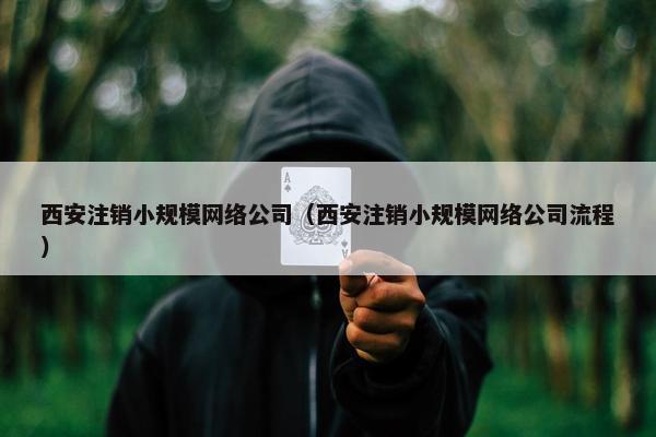 西安注销小规模网络公司（西安注销小规模网络公司流程）