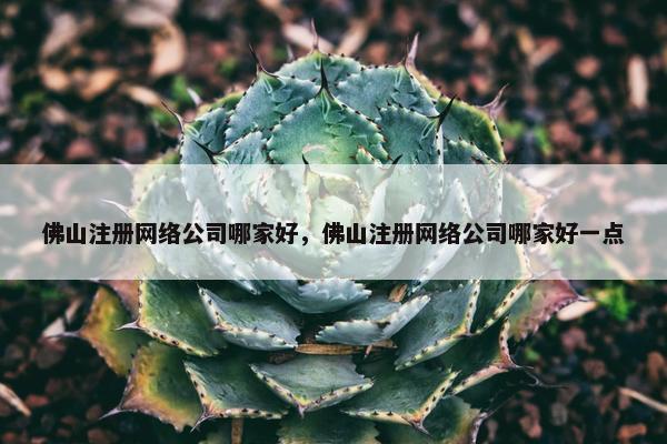 佛山注册网络公司哪家好，佛山注册网络公司哪家好一点