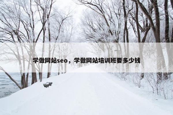 学做网站seo，学做网站培训班要多少钱