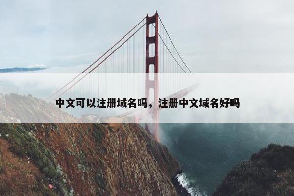 中文可以注册域名吗，注册中文域名好吗