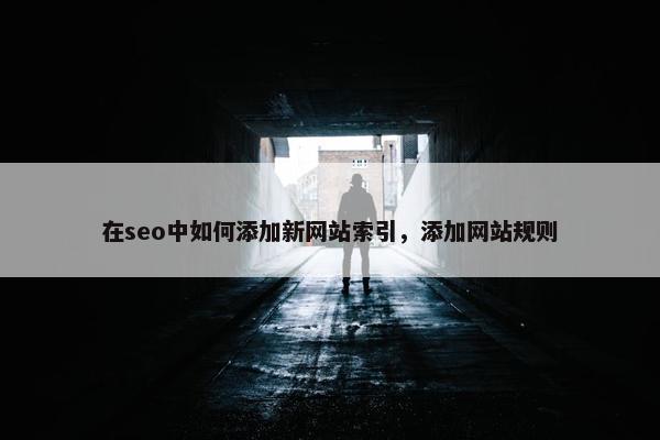在seo中如何添加新网站索引，添加网站规则