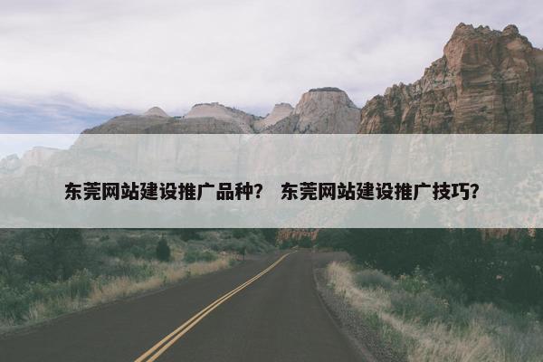 东莞网站建设推广品种？ 东莞网站建设推广技巧？