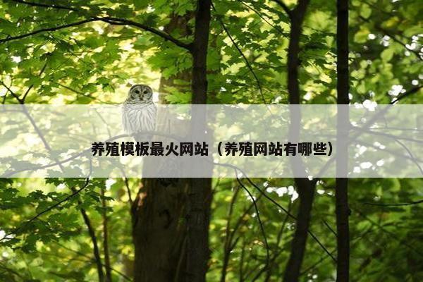 养殖模板最火网站（养殖网站有哪些）