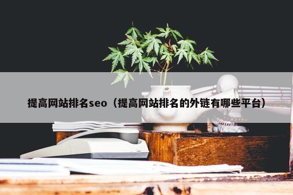 提高网站排名seo（提高网站排名的外链有哪些平台）