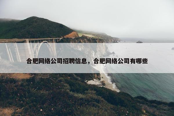合肥网络公司招聘信息，合肥网络公司有哪些