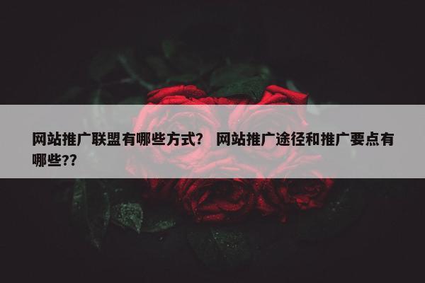 网站推广联盟有哪些方式？ 网站推广途径和推广要点有哪些?？