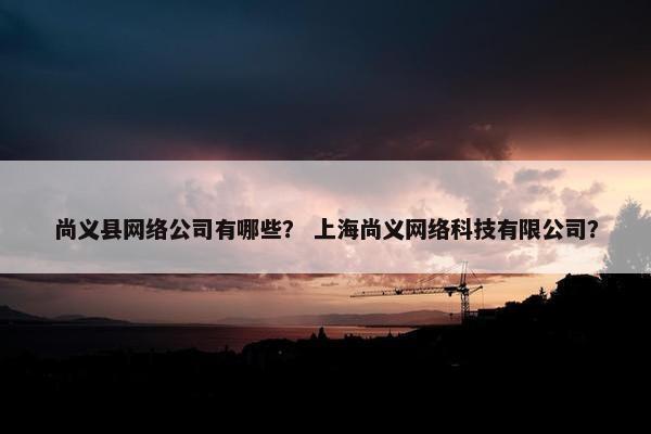 尚义县网络公司有哪些？ 上海尚义网络科技有限公司？