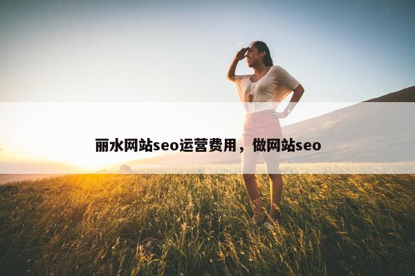 丽水网站seo运营费用，做网站seo
