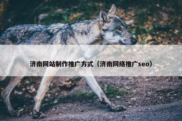 济南网站制作推广方式（济南网络推广seo）
