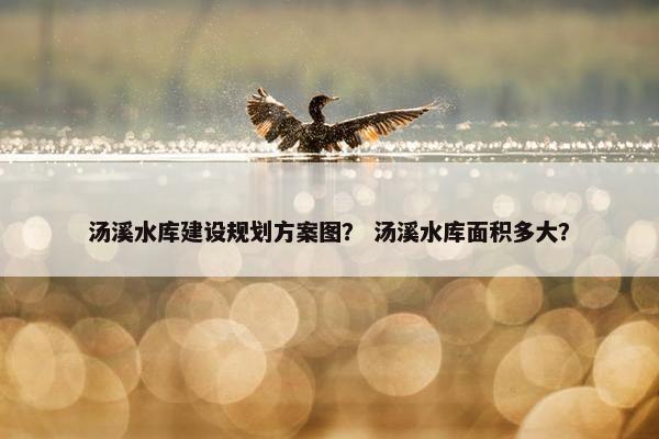 汤溪水库建设规划方案图？ 汤溪水库面积多大？