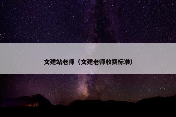 文建站老师（文建老师收费标准）