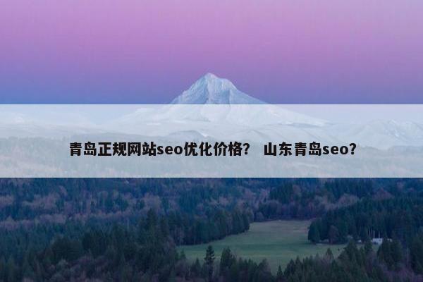 青岛正规网站seo优化价格？ 山东青岛seo？