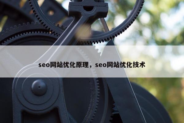 seo网站优化原理，seo网站优化技术