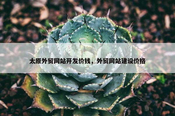 太原外贸网站开发价钱，外贸网站建设价格