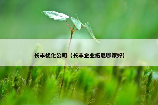 长丰优化公司（长丰企业拓展哪家好）