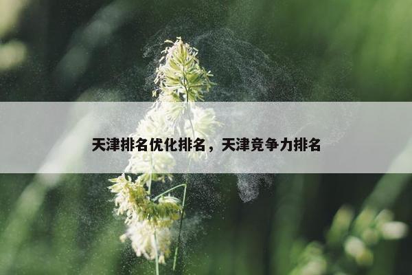 天津排名优化排名，天津竞争力排名