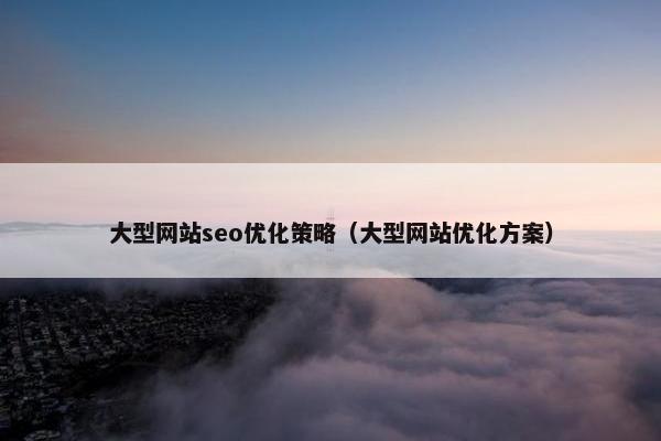 大型网站seo优化策略（大型网站优化方案）