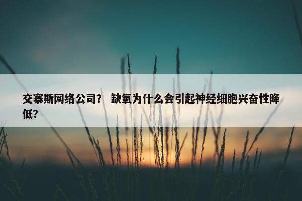 交寨斯网络公司？ 缺氧为什么会引起神经细胞兴奋性降低？