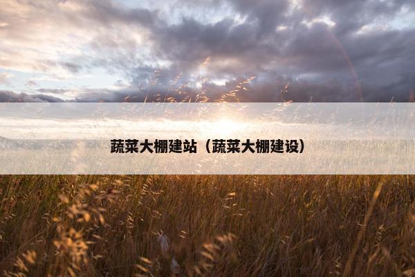 蔬菜大棚建站（蔬菜大棚建设）