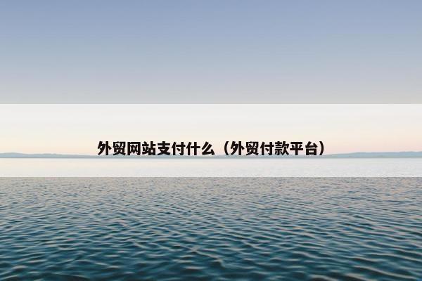 外贸网站支付什么（外贸付款平台）