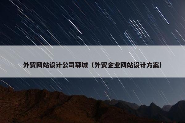 外贸网站设计公司郓城（外贸企业网站设计方案）