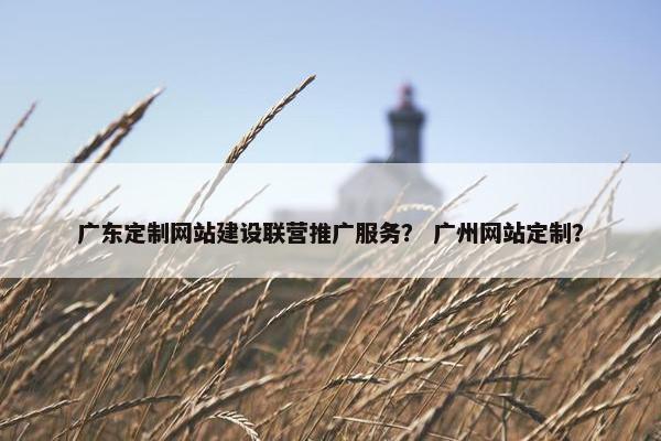 广东定制网站建设联营推广服务？ 广州网站定制？