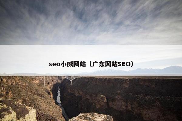 seo小威网站（广东网站SEO）