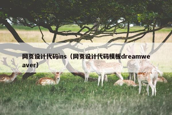 网页设计代码ins（网页设计代码模板dreamweaver）