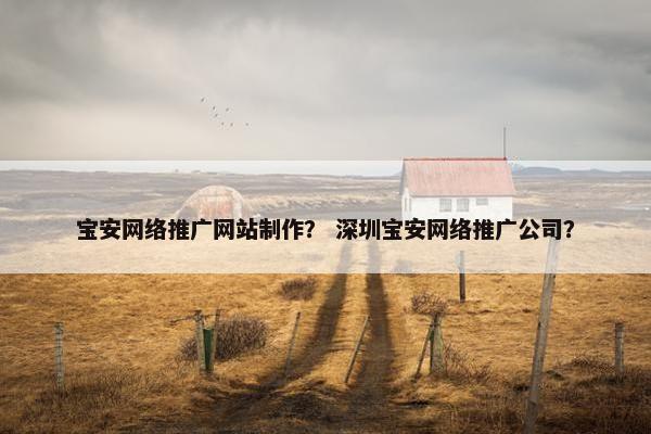 宝安网络推广网站制作？ 深圳宝安网络推广公司？