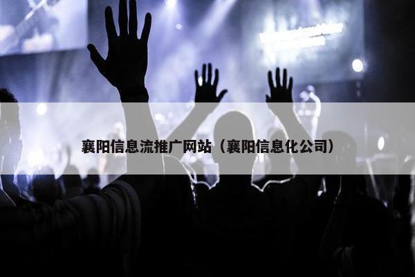 襄阳信息流推广网站（襄阳信息化公司）