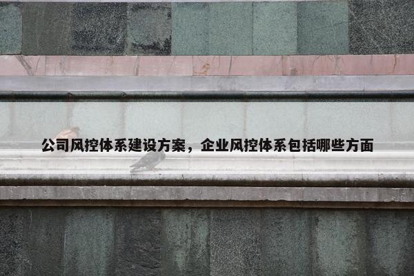 公司风控体系建设方案，企业风控体系包括哪些方面