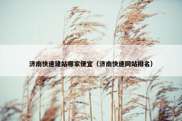 济南快速建站哪家便宜（济南快速网站排名）