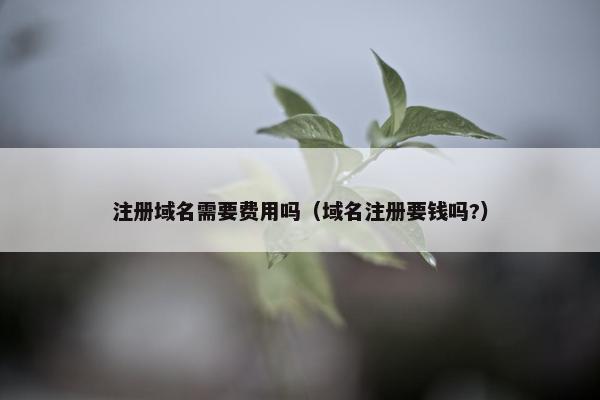 注册域名需要费用吗（域名注册要钱吗?）