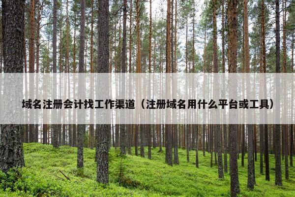 域名注册会计找工作渠道（注册域名用什么平台或工具）