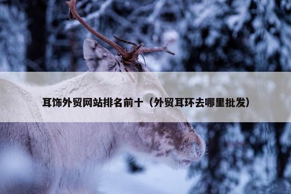 耳饰外贸网站排名前十（外贸耳环去哪里批发）