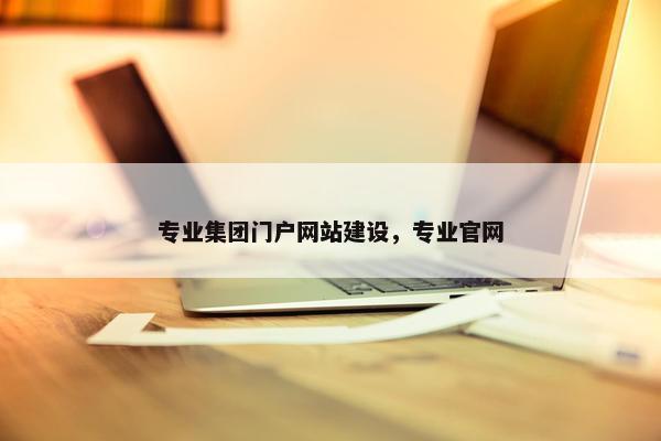 专业集团门户网站建设，专业官网