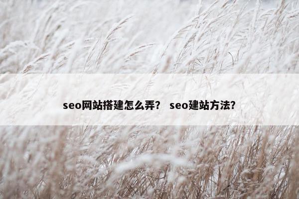 seo网站搭建怎么弄？ seo建站方法？
