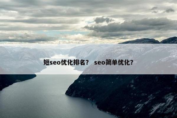 短seo优化排名？ seo简单优化？