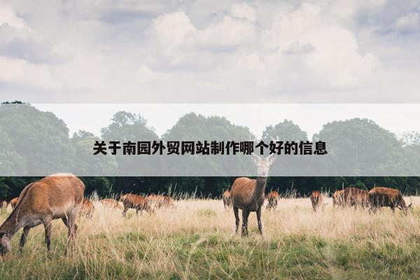 关于南园外贸网站制作哪个好的信息