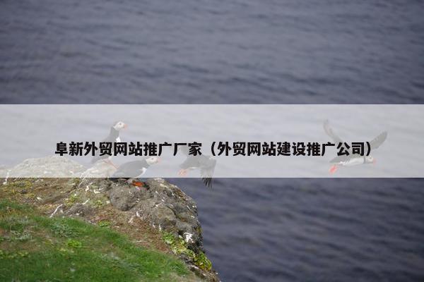 阜新外贸网站推广厂家（外贸网站建设推广公司）