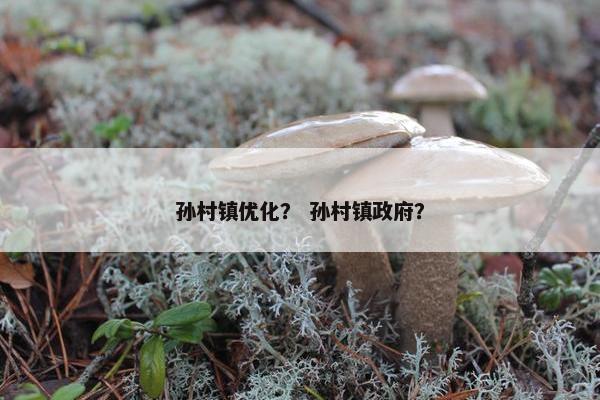 孙村镇优化？ 孙村镇政府？