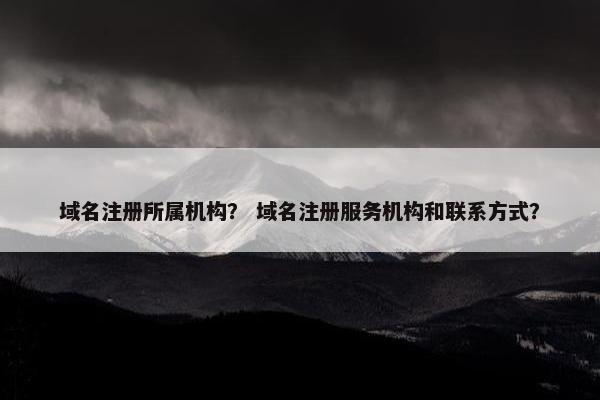 域名注册所属机构？ 域名注册服务机构和联系方式？