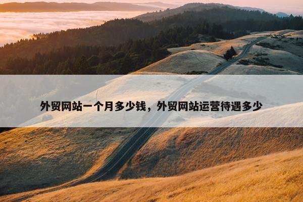 外贸网站一个月多少钱，外贸网站运营待遇多少